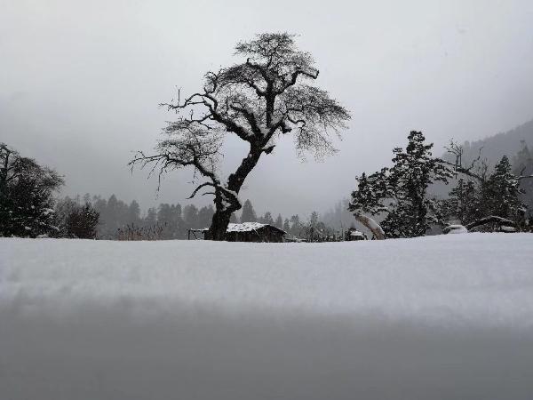 石嘴山惠农区总工会举办迎新春送福送春联活动