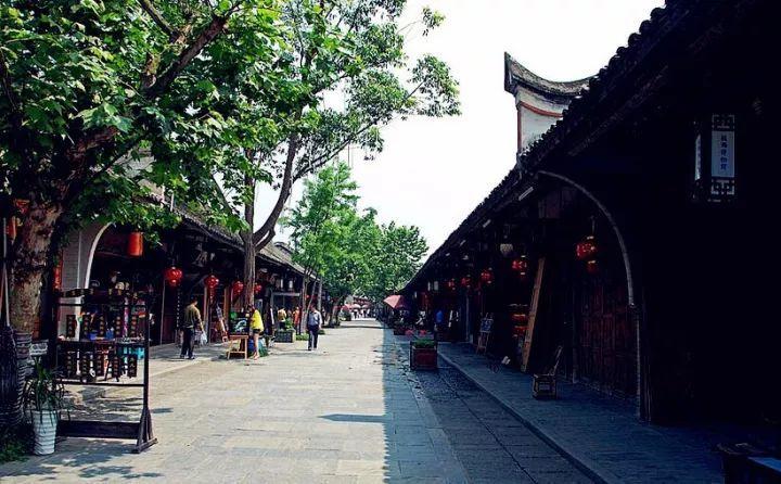 南京西路商圈节日氛围渐浓 一起逛市中心的年宵花市吧!
